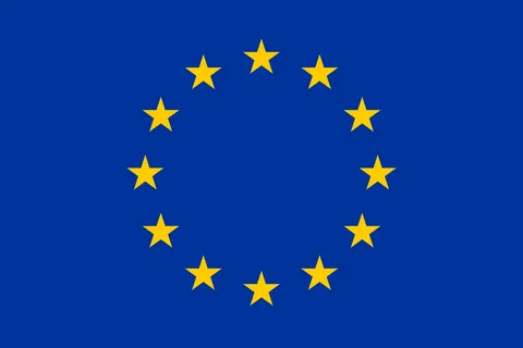 i (14)